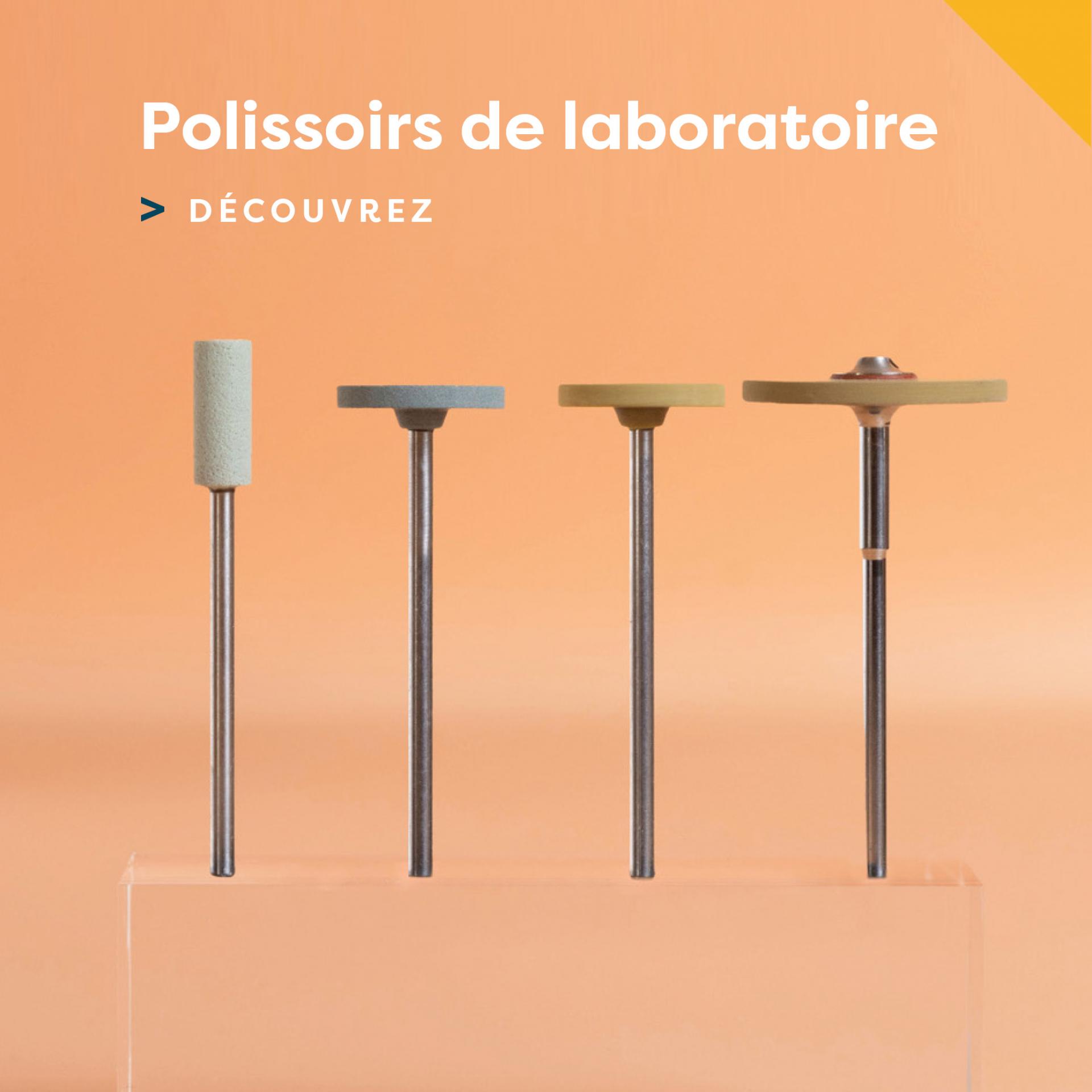 Polissoirs de laboratoire